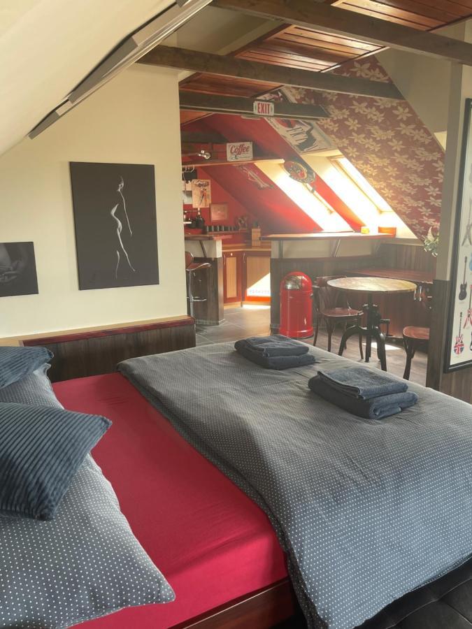 Stylove Apartmanky Frydek-Mistek Bagian luar foto
